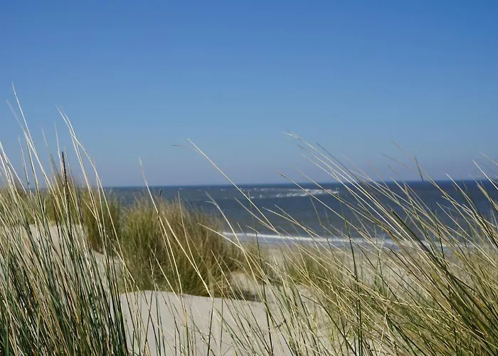 Bed & Breakfast 't Gorsje 4*