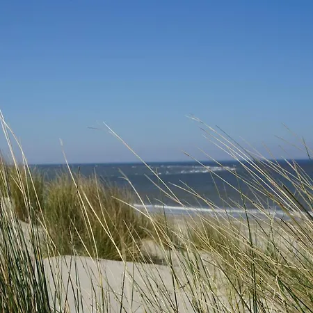 Bed & Breakfast 't Gorsje 4*